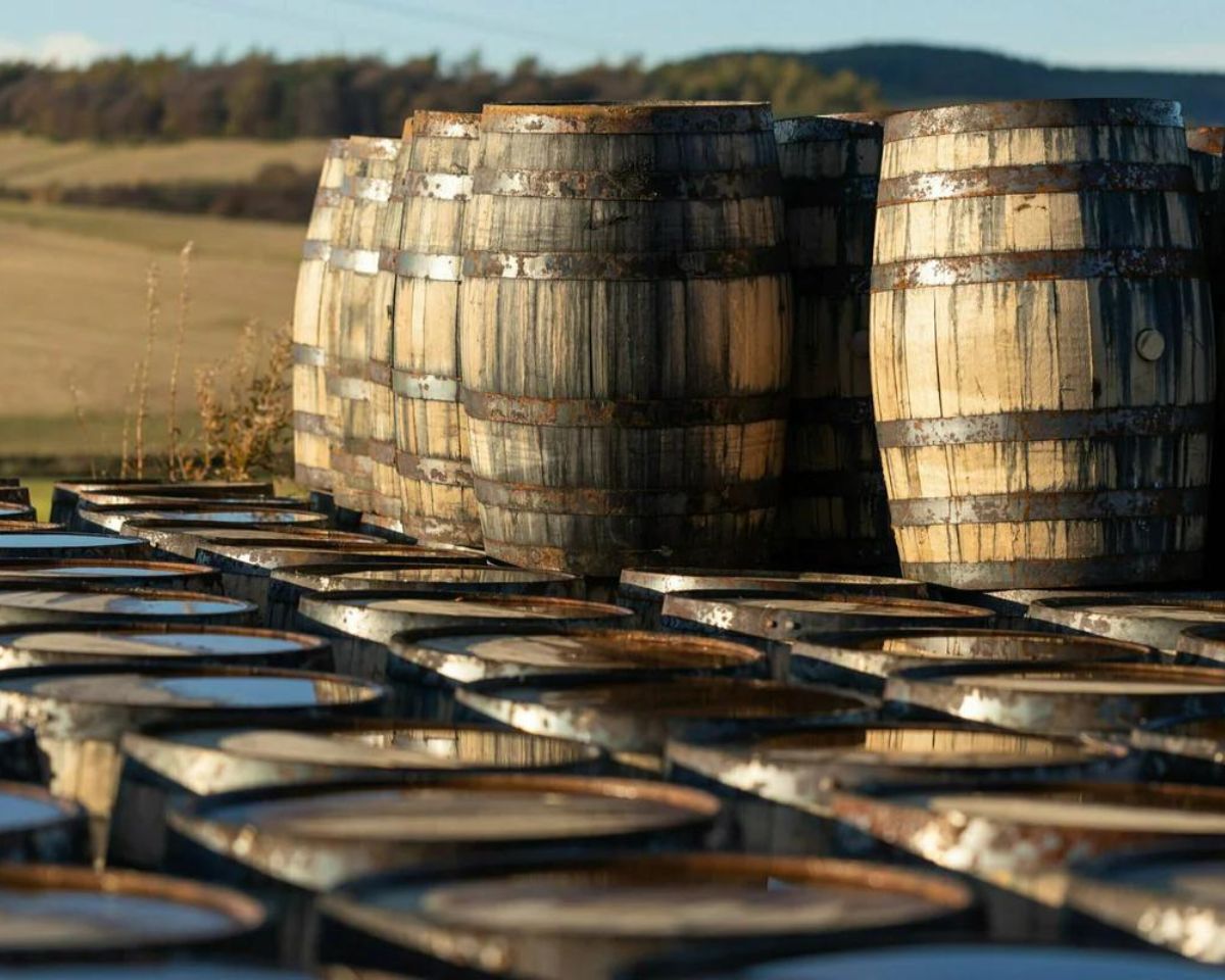 The Cold Plunge Barrel - Nuovo Luxury - Barrel