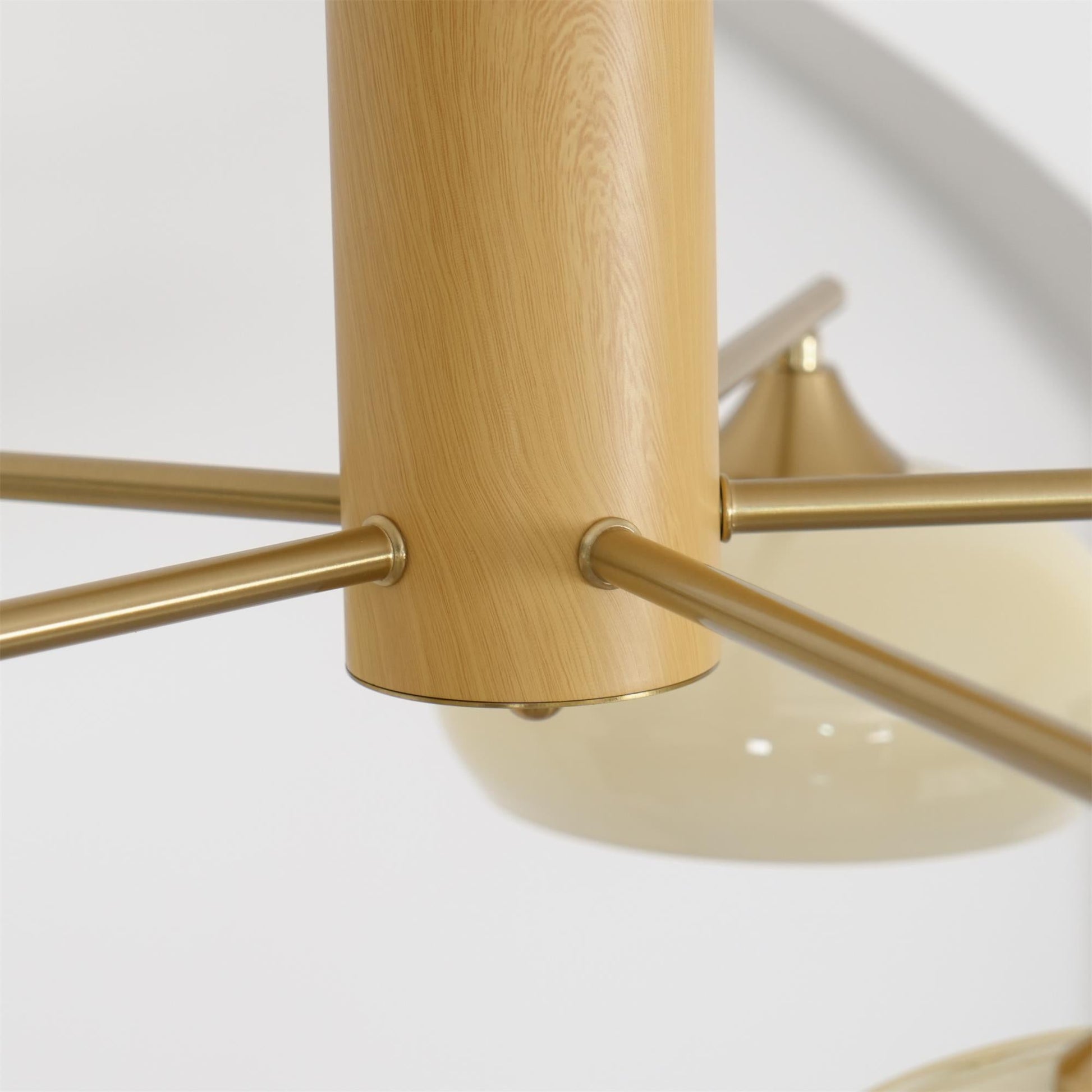 Ellisse Glass Globe Chandelier