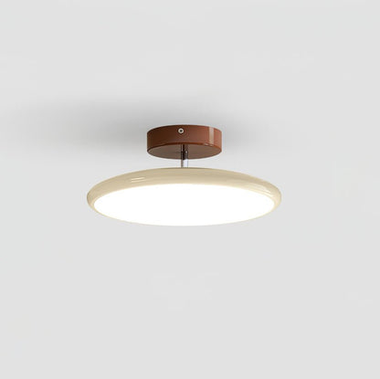 Pivot Adjustable LED Ceiling Light