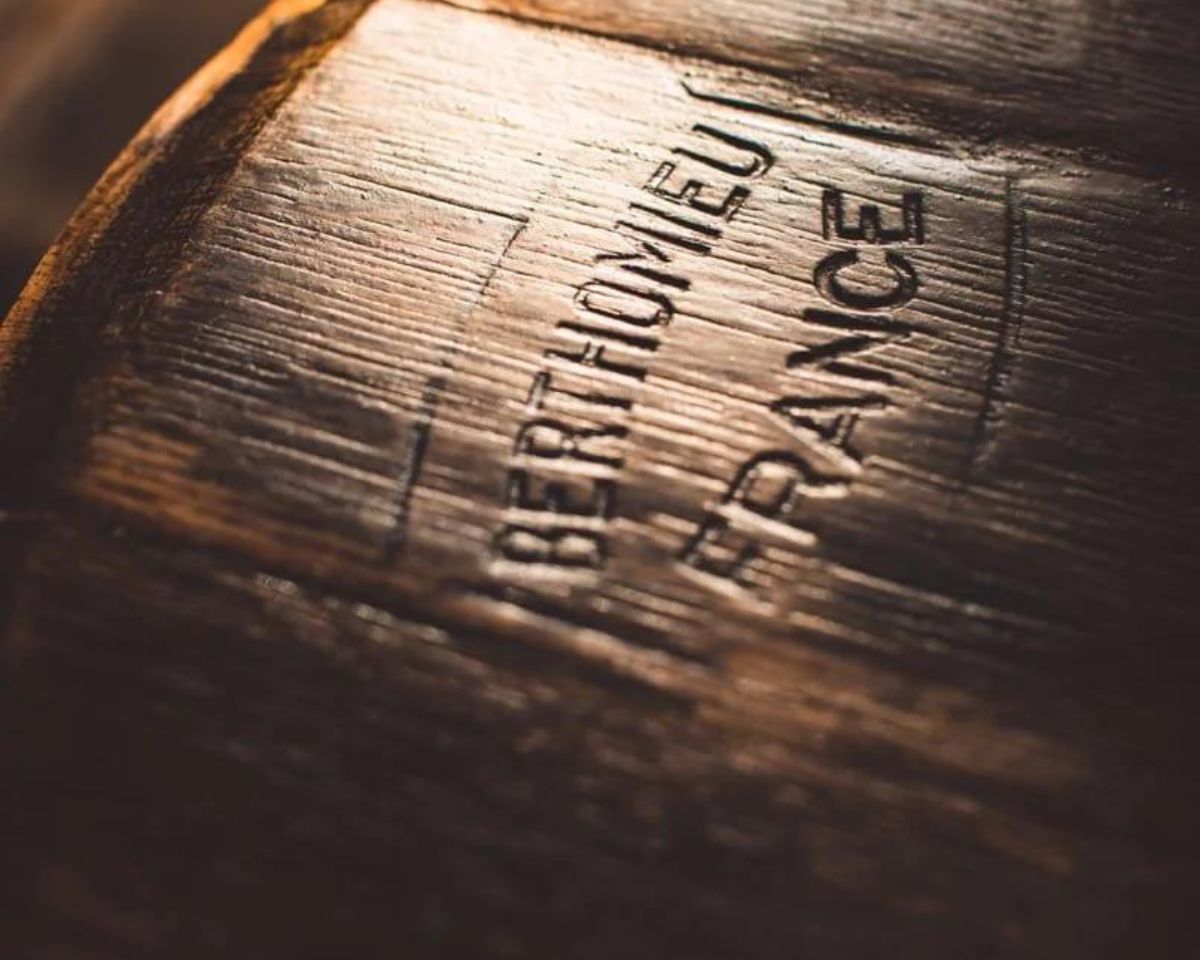 The Cold Plunge Barrel - Nuovo Luxury - Barrel
