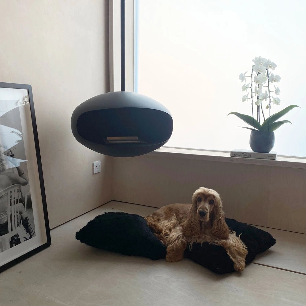 Cocoon Aeris Smokeless Bioethanol Fire Matte Black - Nuovo Luxury - Ceiling - mounted Fireplace
